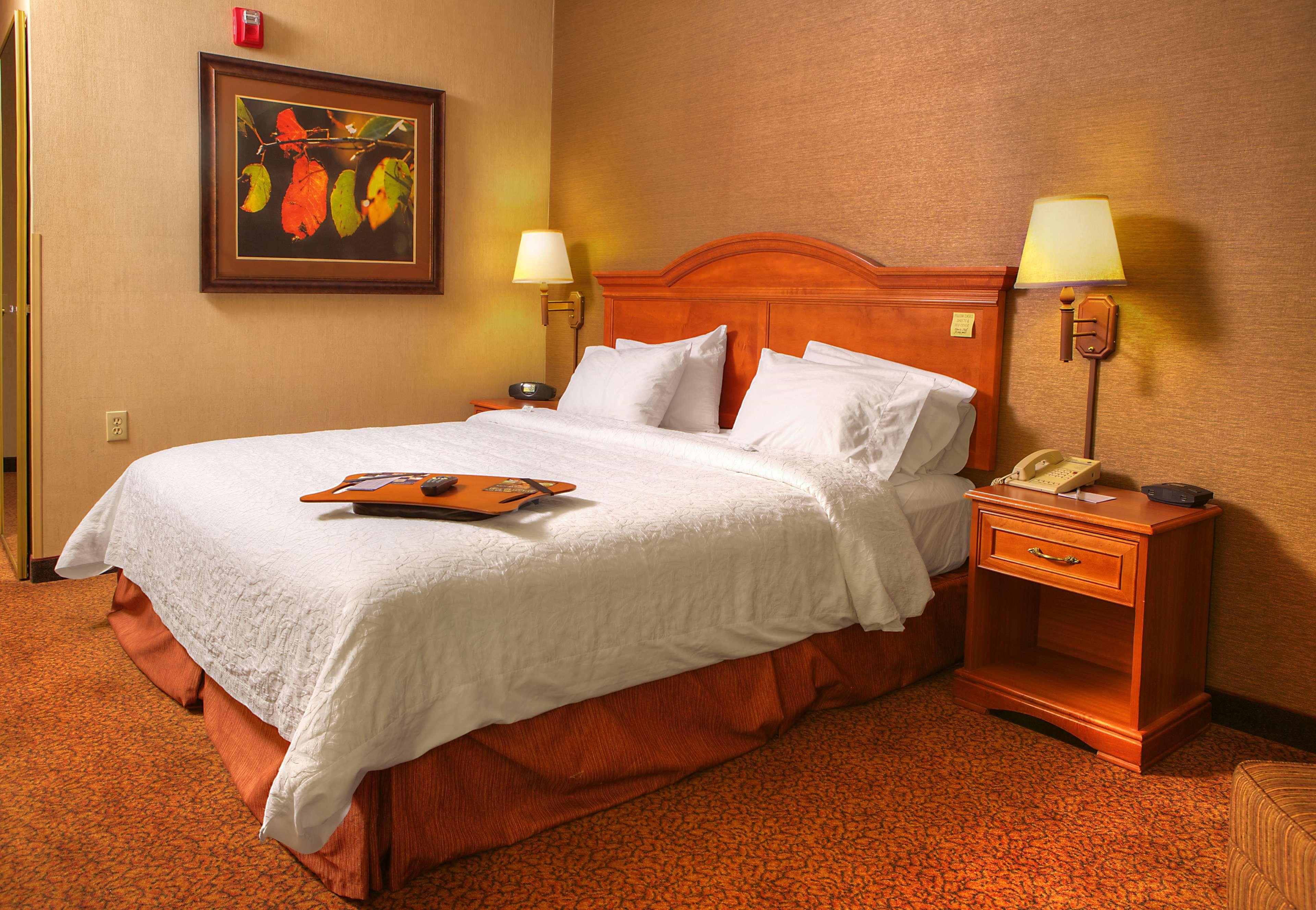 Comfort Inn & Suites Rapid City Near Mt Rushmore Екстер'єр фото